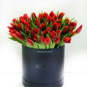Тюльпаны в коробке 101 шт. цв. красный