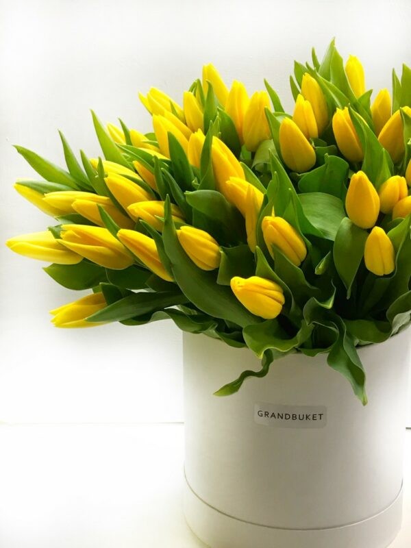 Тюльпаны в коробке 101 шт. цв.желтый
