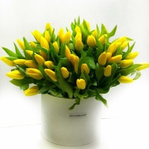 Тюльпаны в коробке 101 шт. цв.желтый