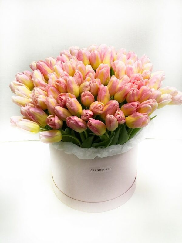 Тюльпаны в коробке 101 шт. розовый