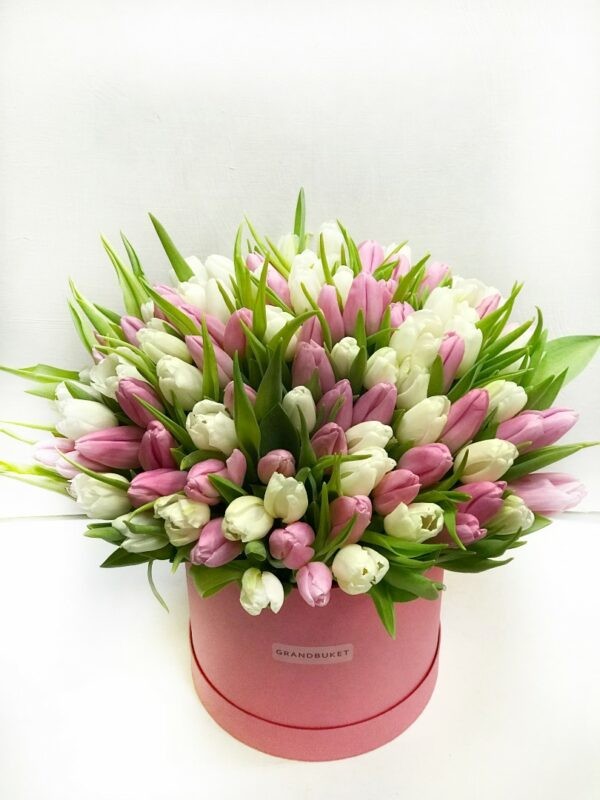 Тюльпаны в коробке 101шт. микс белые с розовыми