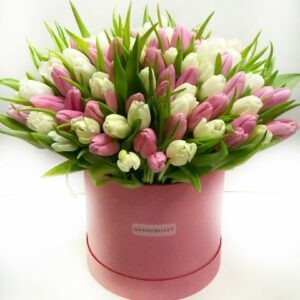 Тюльпаны в коробке 101шт. микс белые с розовыми