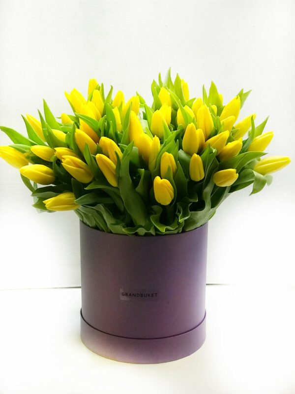 Желтые тюльпаны в коробке сиреневого цвета 101 шт.