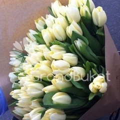 Букет тюльпанов 51 белый