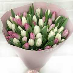 Букет тюльпанов 51 бело розовый