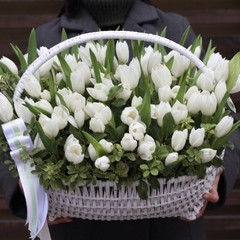 Корзина тюльпанов 51 белого цвета