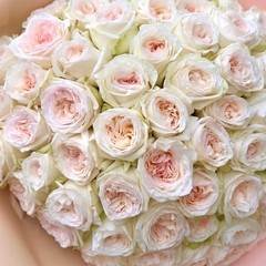 Букет роз «Вайт Охара» пионовидные 51 роза
