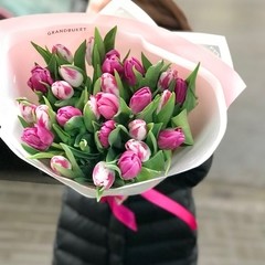 25 тюльпанов в светлой упаковке