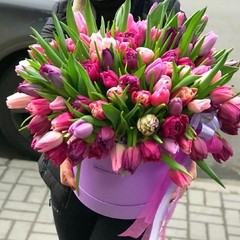 101 тюльпан в коробке / разноцветный