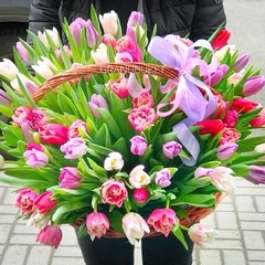 Тюльпаны разноцветные в корзине
