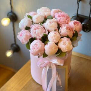Пионы розовые в коробке «Нежность»