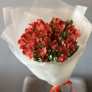 Букет из красных альстромерий 11 штук «Встреча»