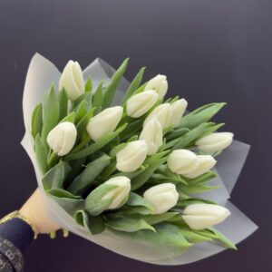 Букет весенний 25 белых тюльпанов "Милая моя"