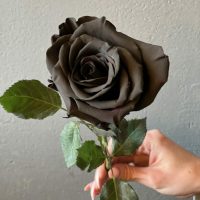 Чёрные розы 11 штук в крафте «Волшебство»