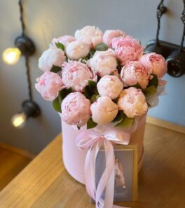 Пионы розовые в коробке «Нежность»